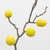 Lemontree